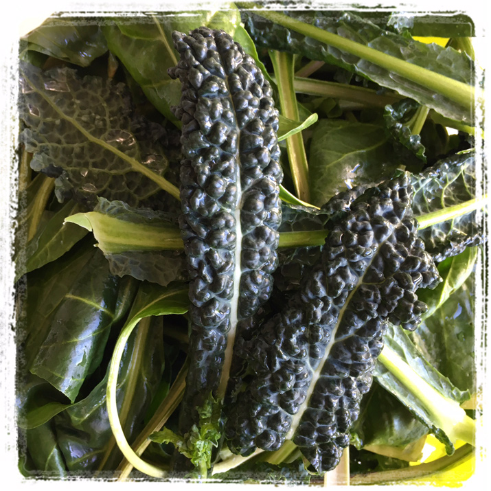 orto-2017-27-ottobre-02